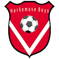 Harkemase Boys MO20-2 (9-tal)